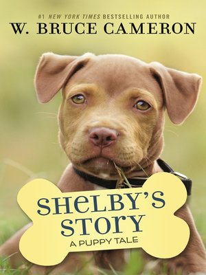 cover image of Shelby's Story